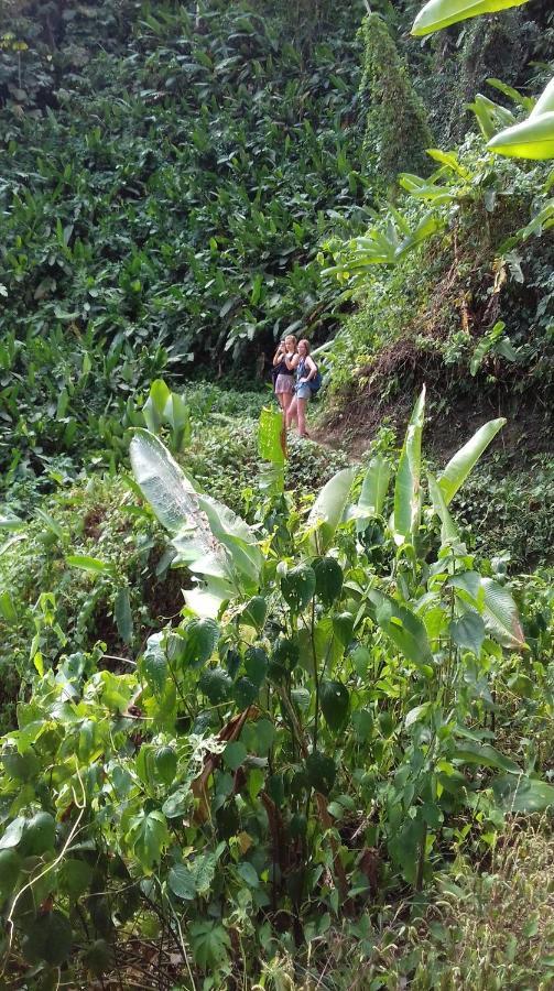 Bolita Trails And Lodging Dos Brazos Exterior foto